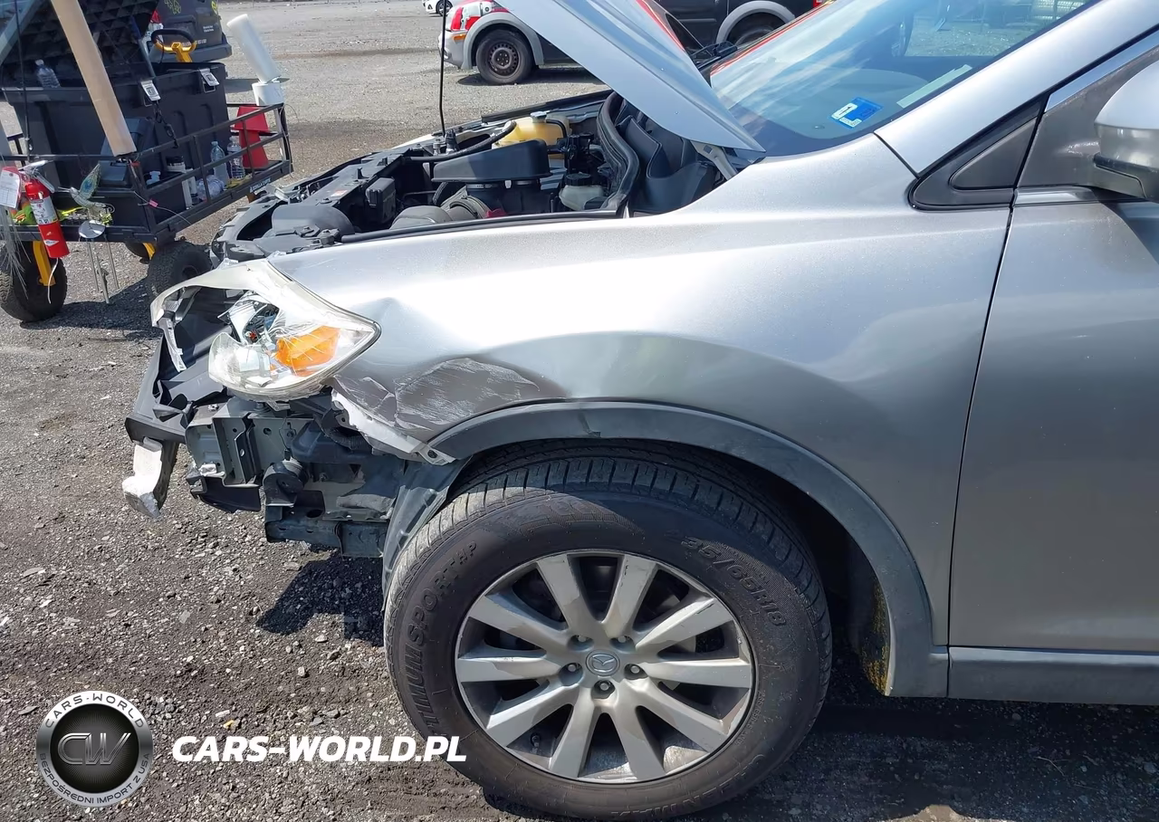 2010 Mazda Cx-9 Touring VIN:JM3TB3MVXA0214789 - 6