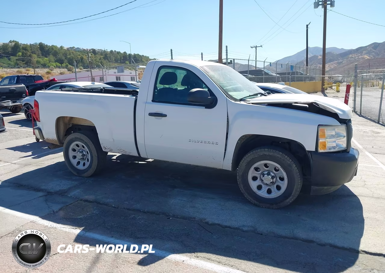2012 Chevrolet Silverado 1500 Work Truck VIN:1GCNCPEX8CZ239405 - 13