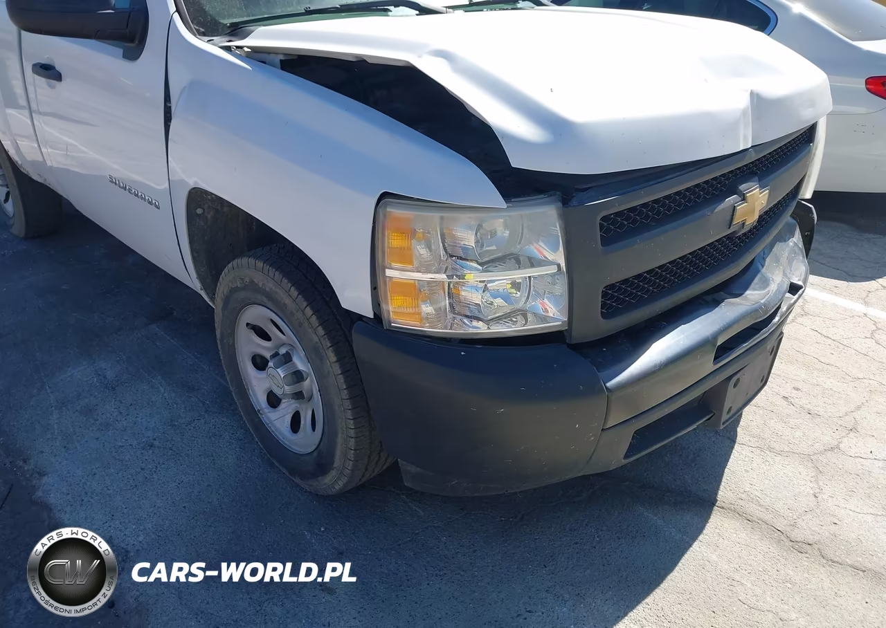 2012 Chevrolet Silverado 1500 Work Truck VIN:1GCNCPEX8CZ239405 - 17