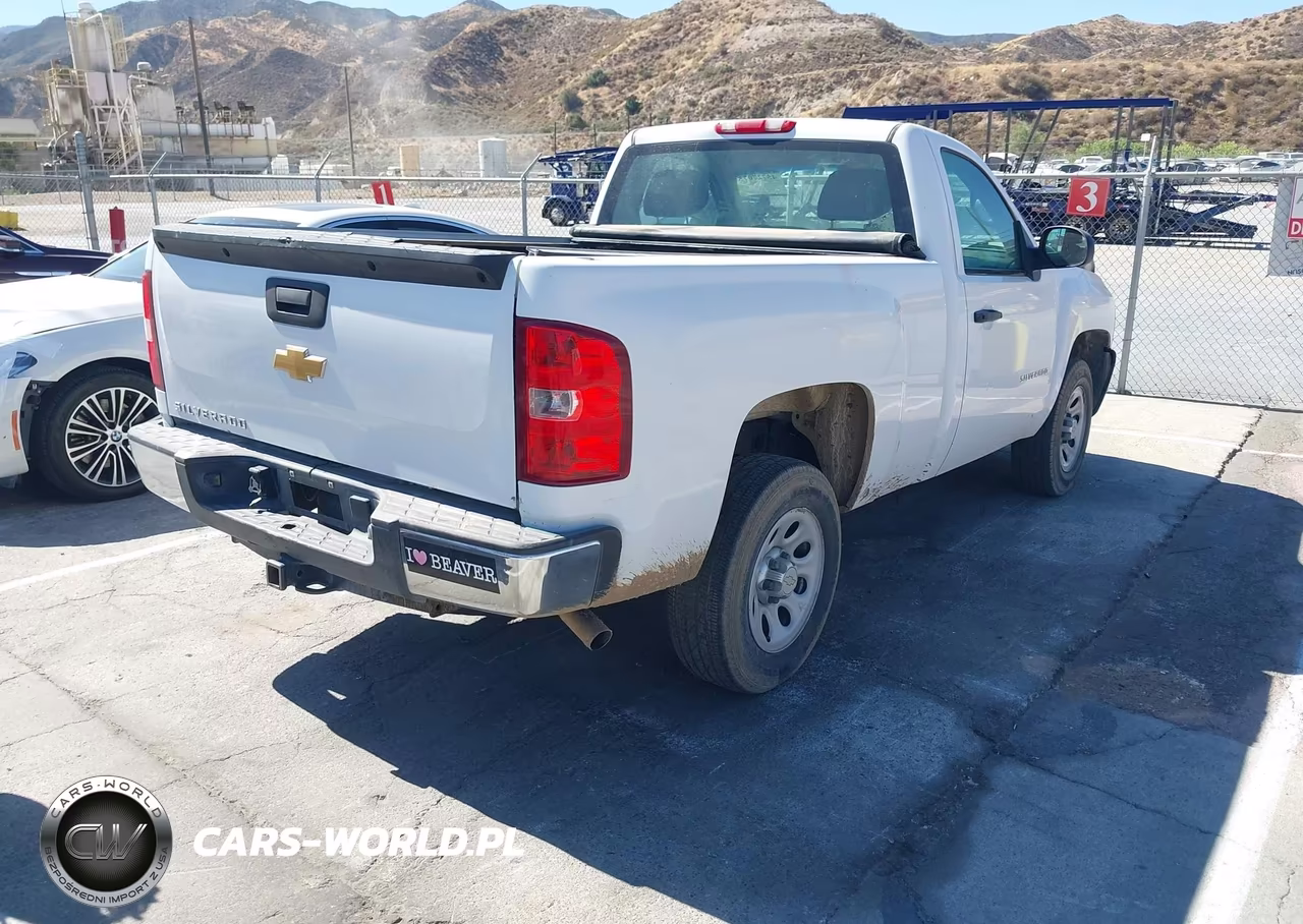 2012 Chevrolet Silverado 1500 Work Truck VIN:1GCNCPEX8CZ239405 - 4