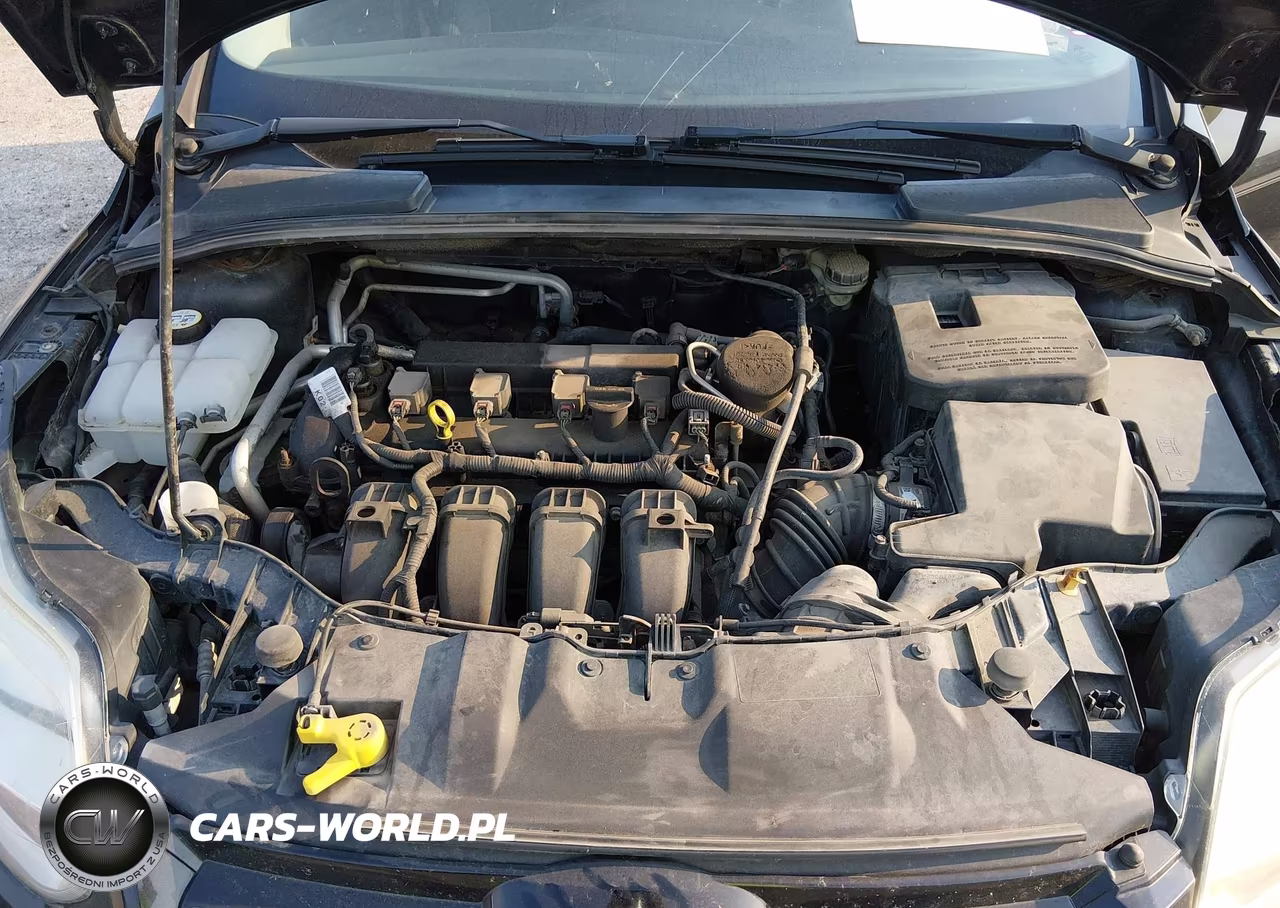 2012 Ford Focus Sel VIN:1FAHP3M21CL140546 - 10