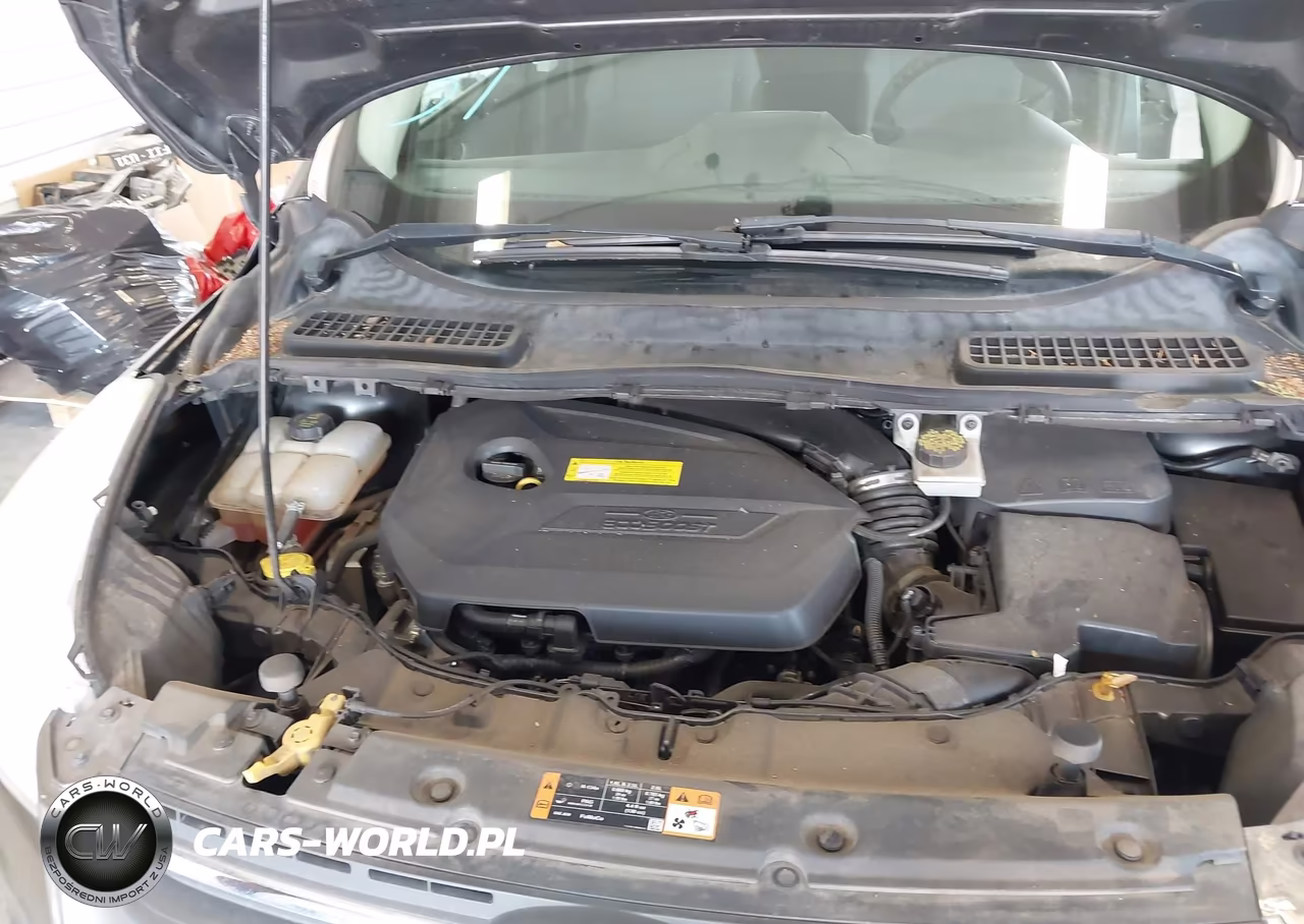 2016 Ford Escape Se VIN:1FMCU0GX2GUB97093 - 10