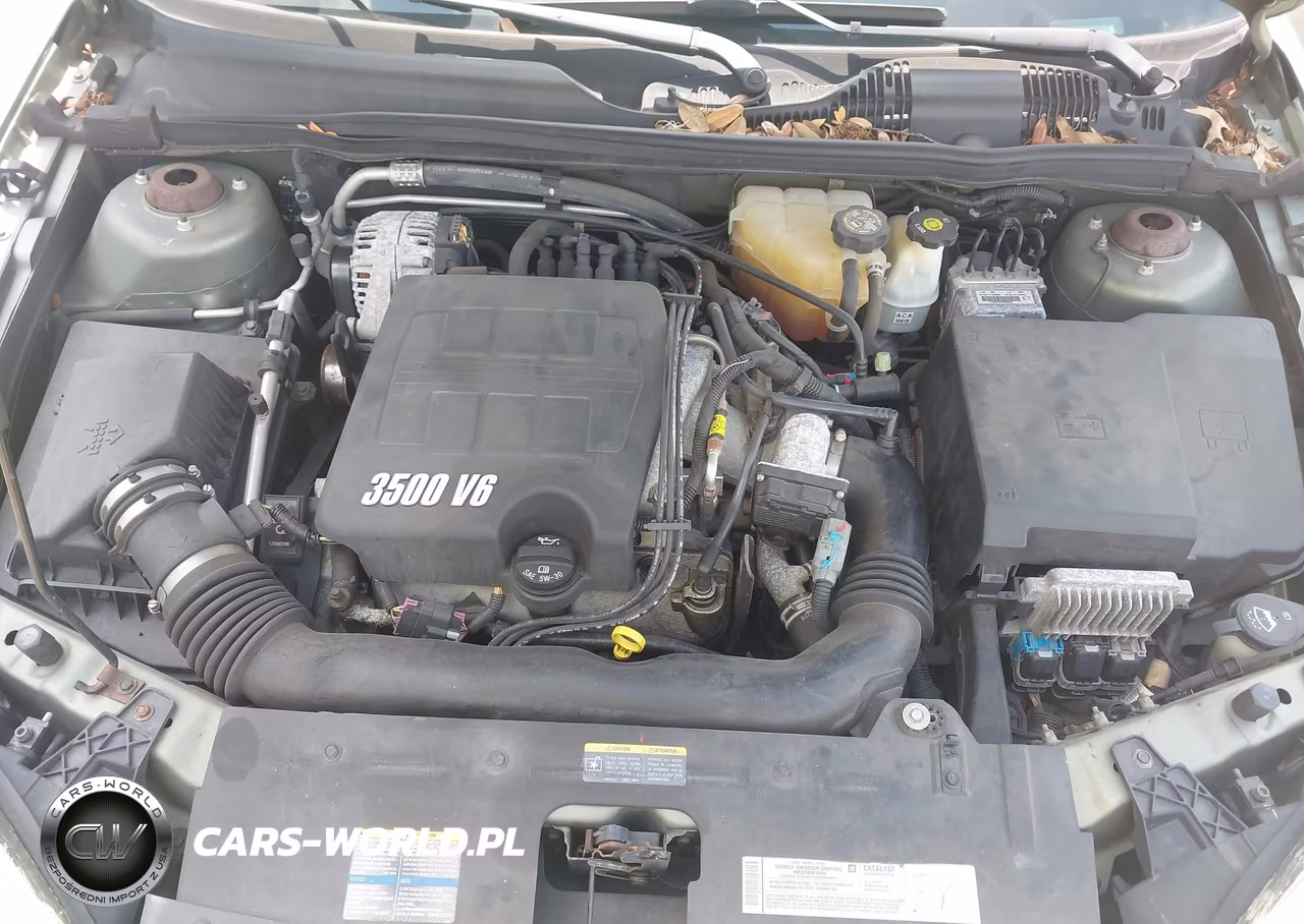 2005 Chevrolet Malibu Maxx Lt VIN:1G1ZU648X5F226414 - 10