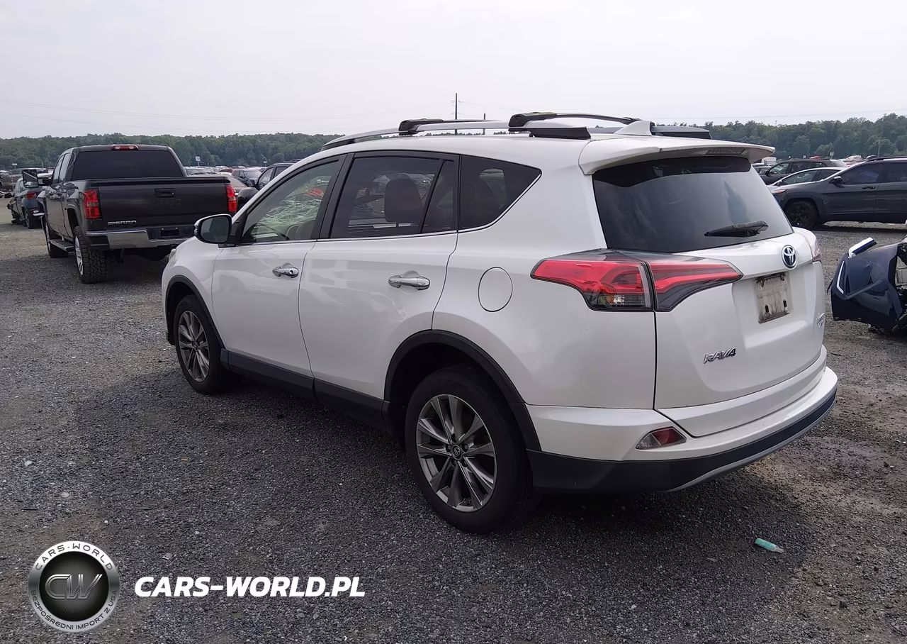 2017 Toyota Rav4 Limited VIN:JTMDFREV6HD219767 - 3