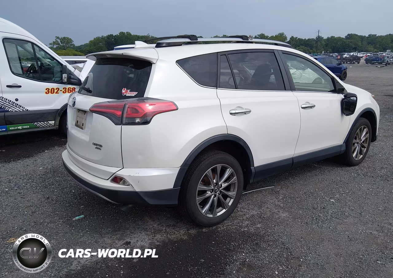 2017 Toyota Rav4 Limited VIN:JTMDFREV6HD219767 - 4