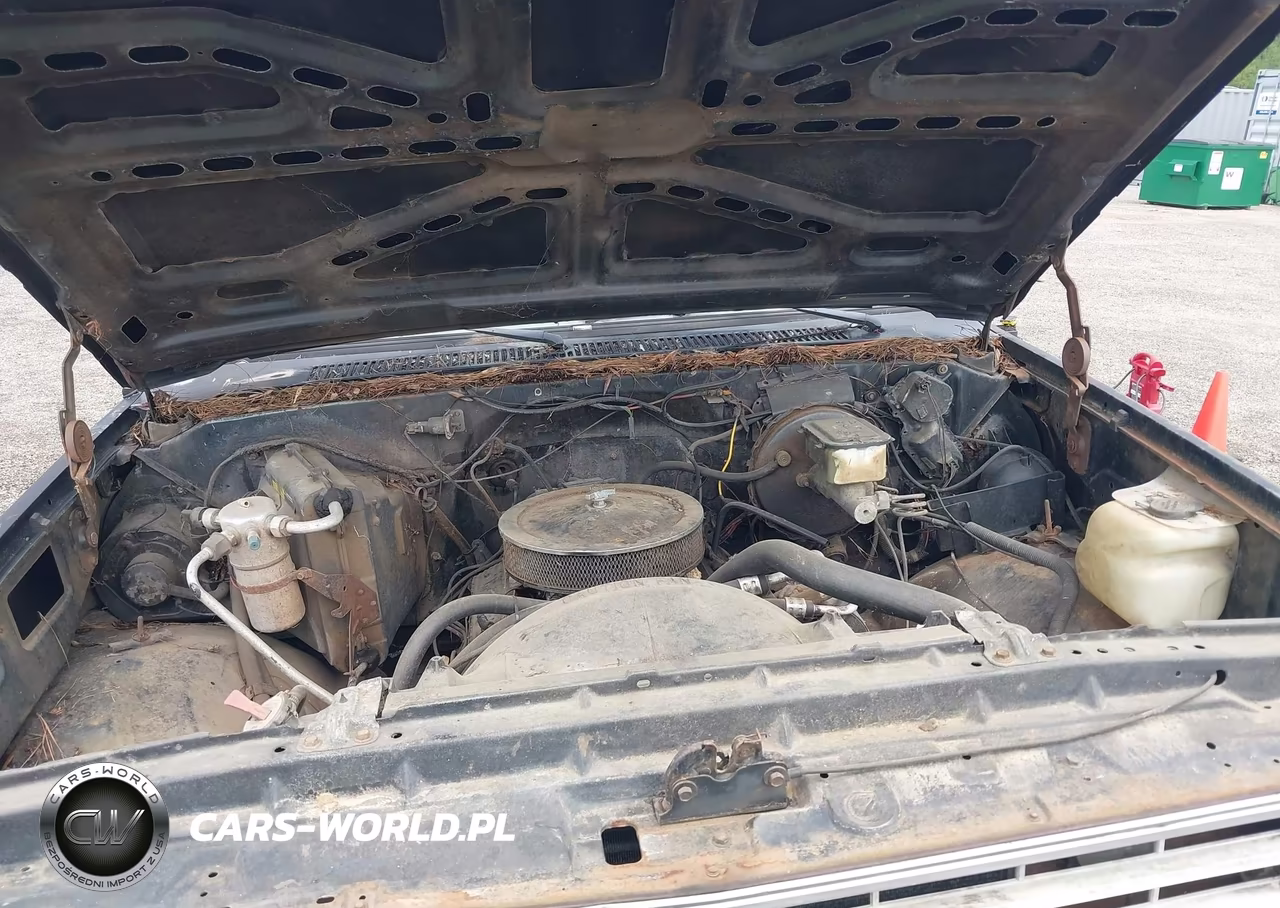 1985 Chevrolet C10 VIN:2GCCC14N4F1138265 - 10