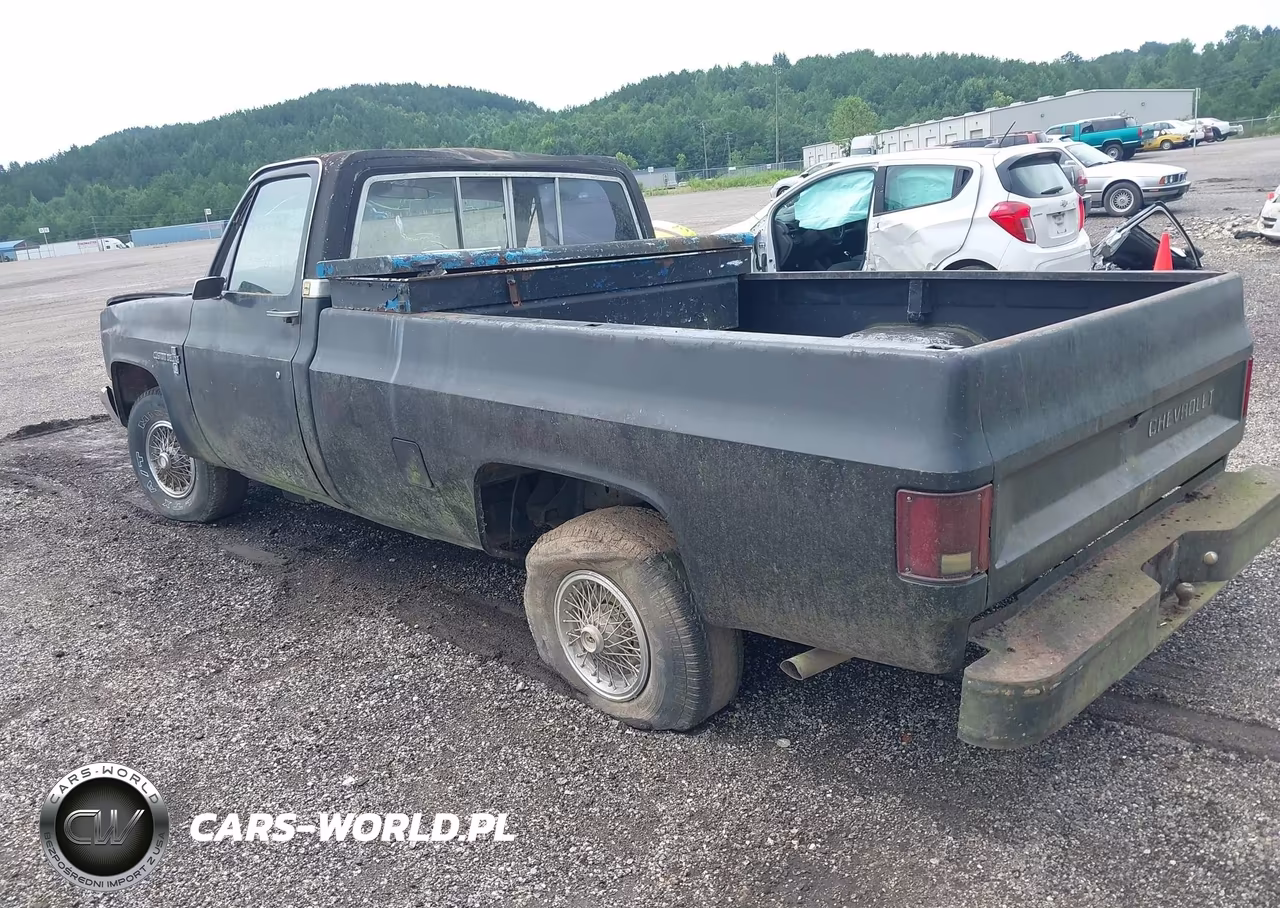 1985 Chevrolet C10 VIN:2GCCC14N4F1138265 - 3