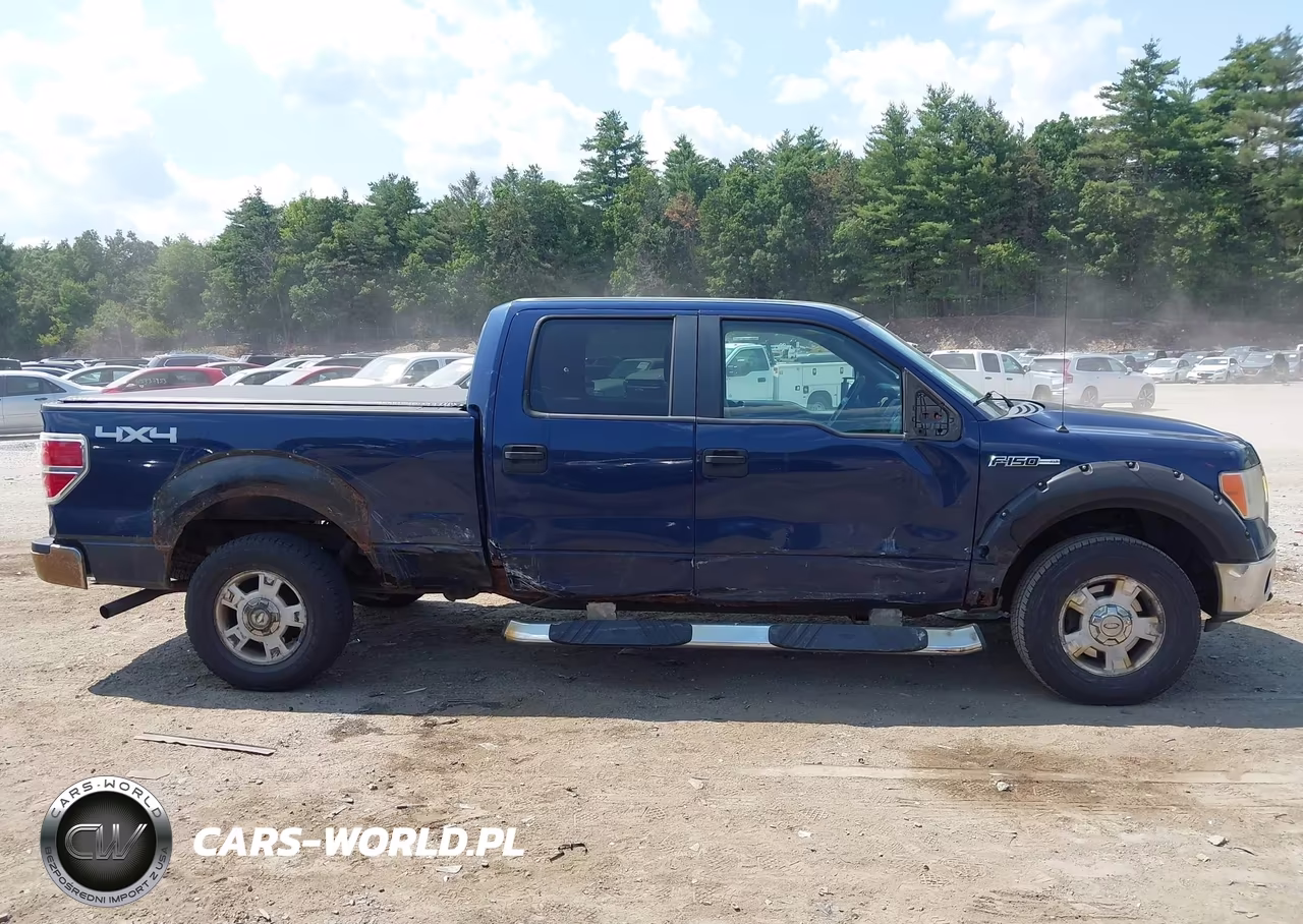 2010 Ford F-150 Fx4-Harley-Davidson-King Ranch-Lariat-Platinum-Xl-Xlt VIN:1FTFW1EV0AFA85312 - 14