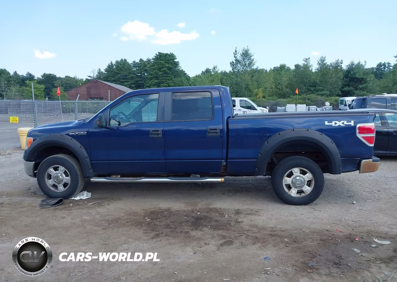 2010 Ford F-150 Fx4-Harley-Davidson-King Ranch-Lariat-Platinum-Xl-Xlt VIN:1FTFW1EV0AFA85312 - 15