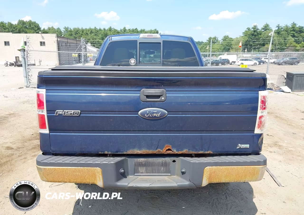 2010 Ford F-150 Fx4-Harley-Davidson-King Ranch-Lariat-Platinum-Xl-Xlt VIN:1FTFW1EV0AFA85312 - 17