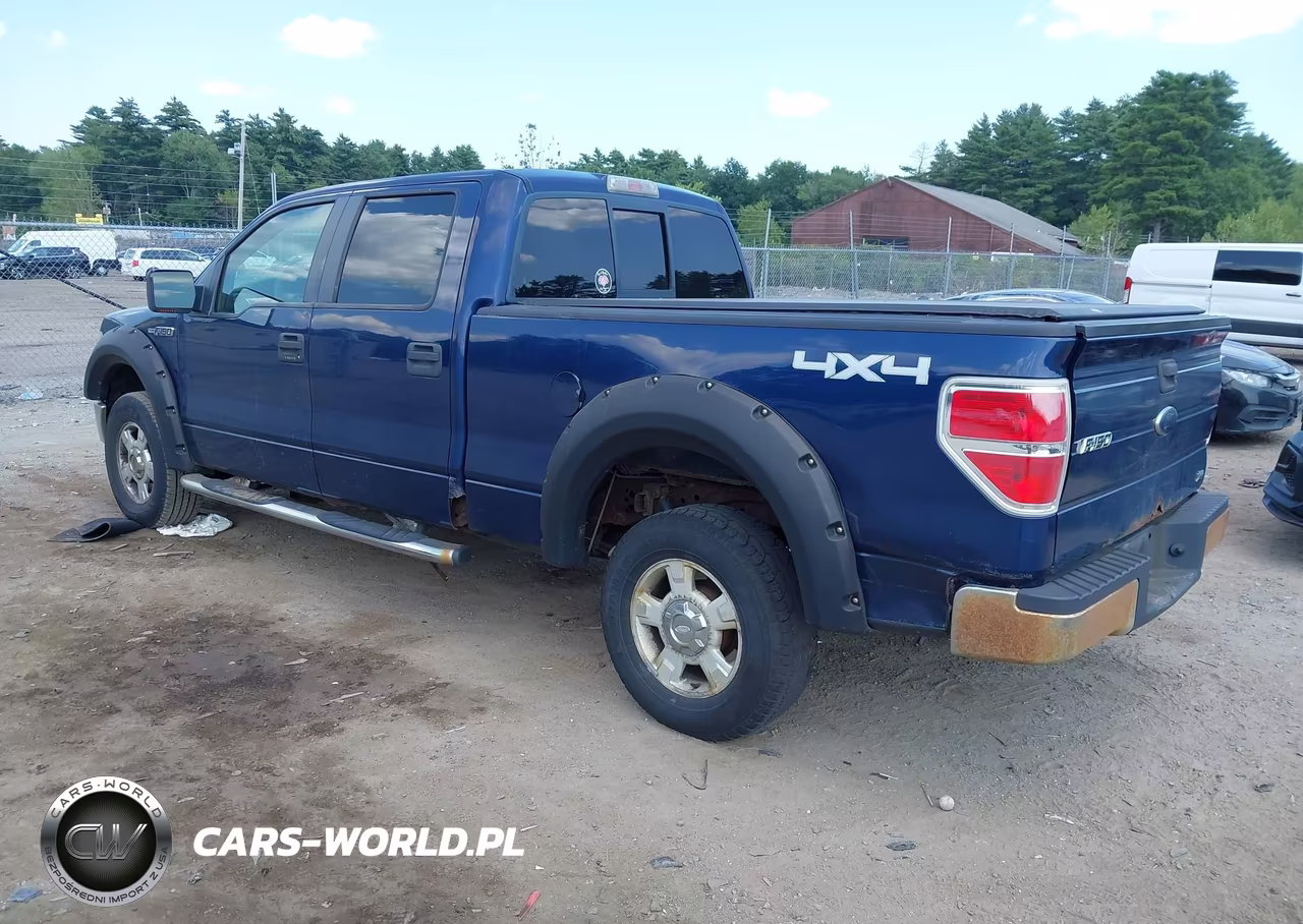 2010 Ford F-150 Fx4-Harley-Davidson-King Ranch-Lariat-Platinum-Xl-Xlt VIN:1FTFW1EV0AFA85312 - 3