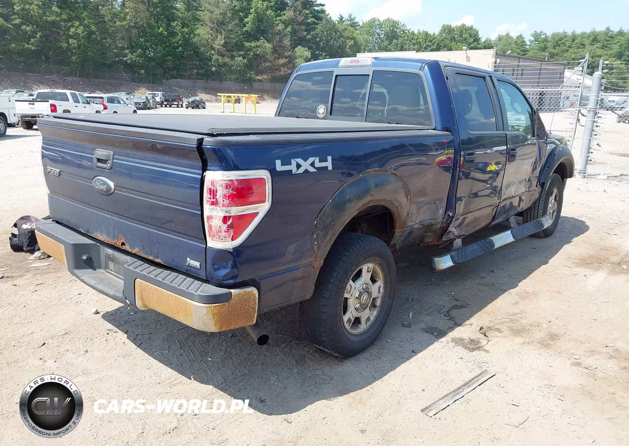 2010 Ford F-150 Fx4-Harley-Davidson-King Ranch-Lariat-Platinum-Xl-Xlt VIN:1FTFW1EV0AFA85312 - 4