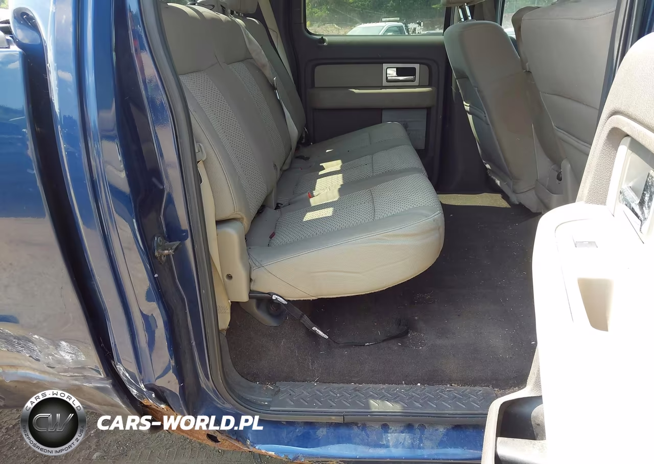 2010 Ford F-150 Fx4-Harley-Davidson-King Ranch-Lariat-Platinum-Xl-Xlt VIN:1FTFW1EV0AFA85312 - 8