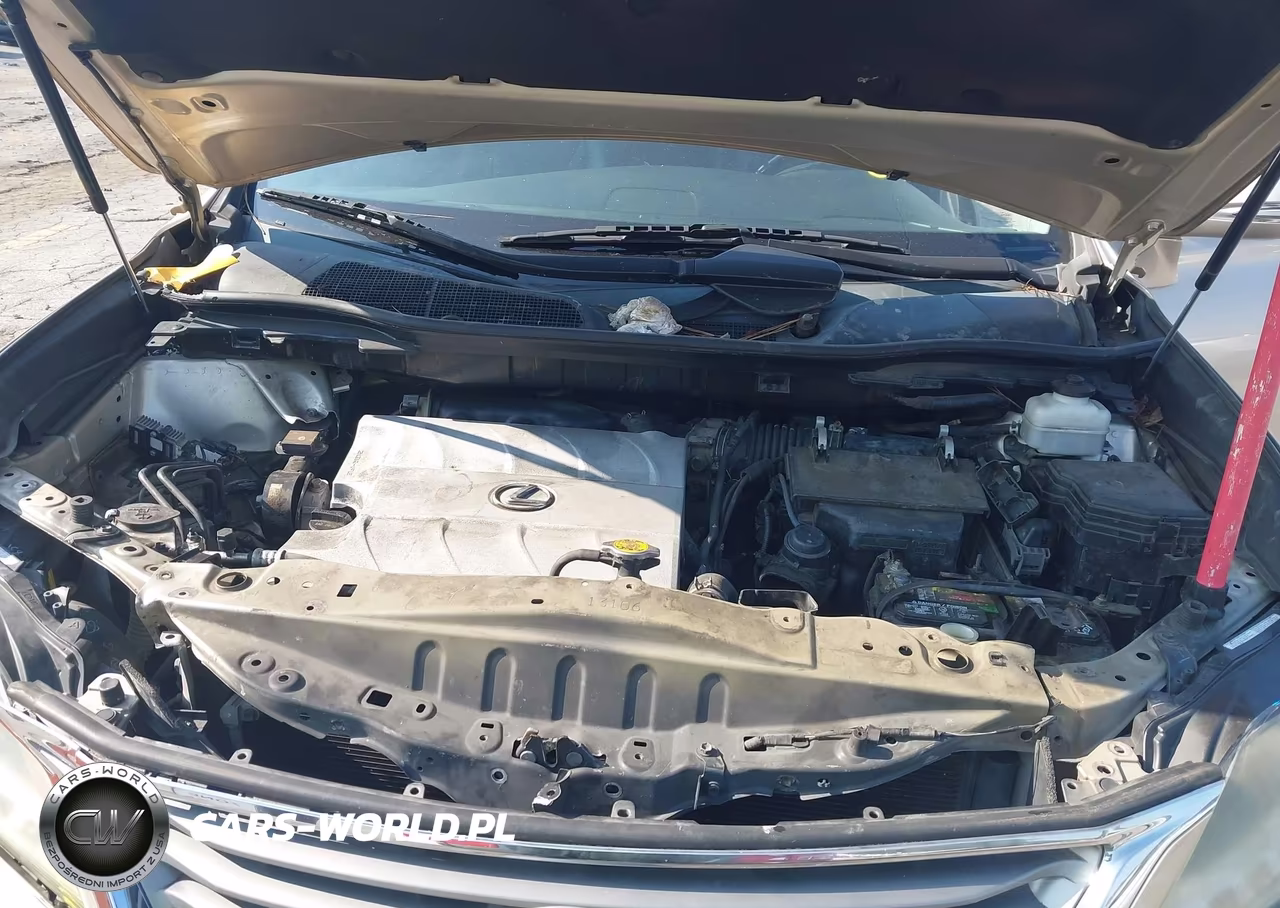2013 Lexus Rx 350 VIN:2T2ZK1BA5DC095594 - 10
