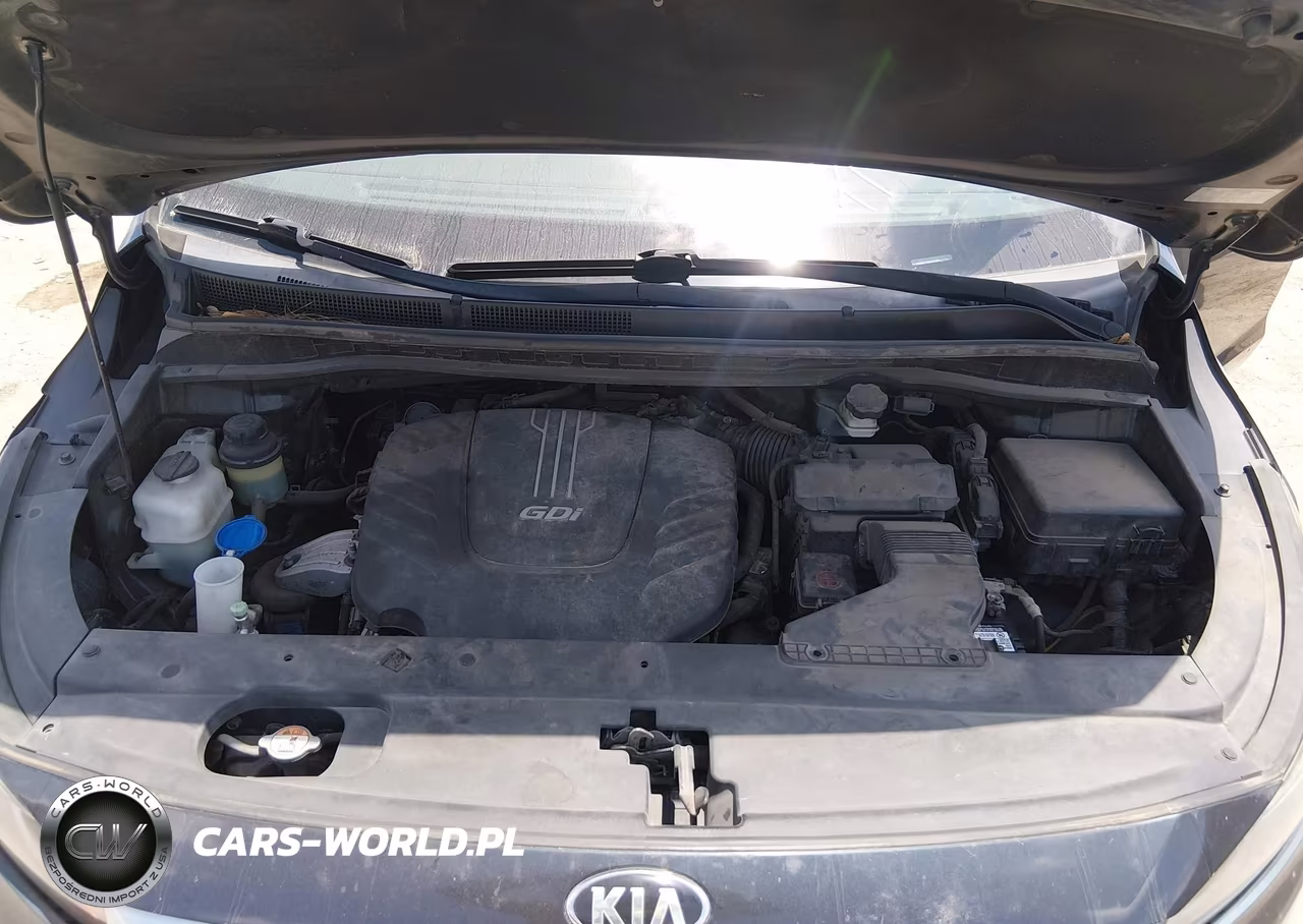 2016 Kia Sedona Lx VIN:KNDMB5C19G6129407 - 10