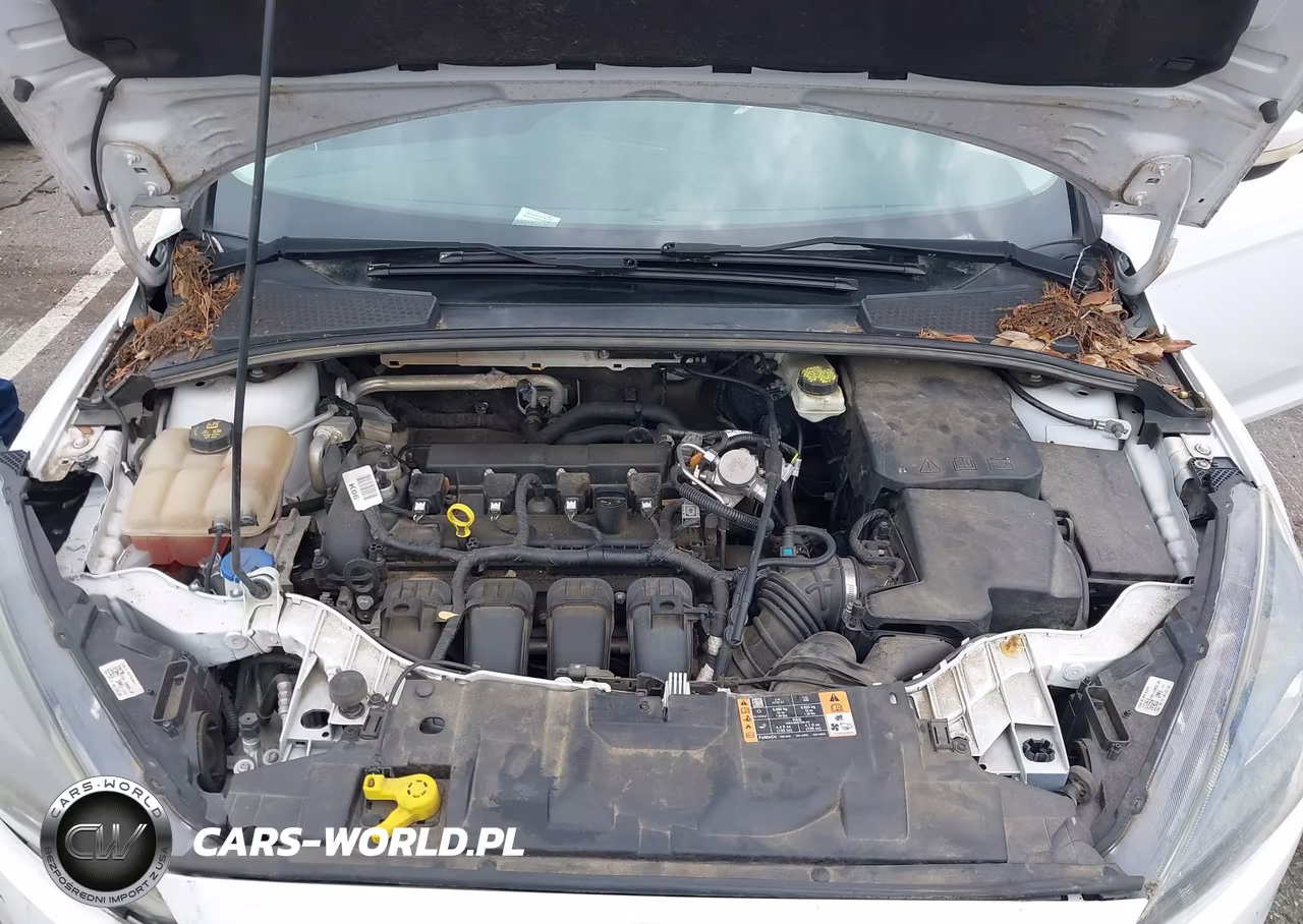 2017 Ford Focus Sel VIN:1FADP3M23HL281916 - 10
