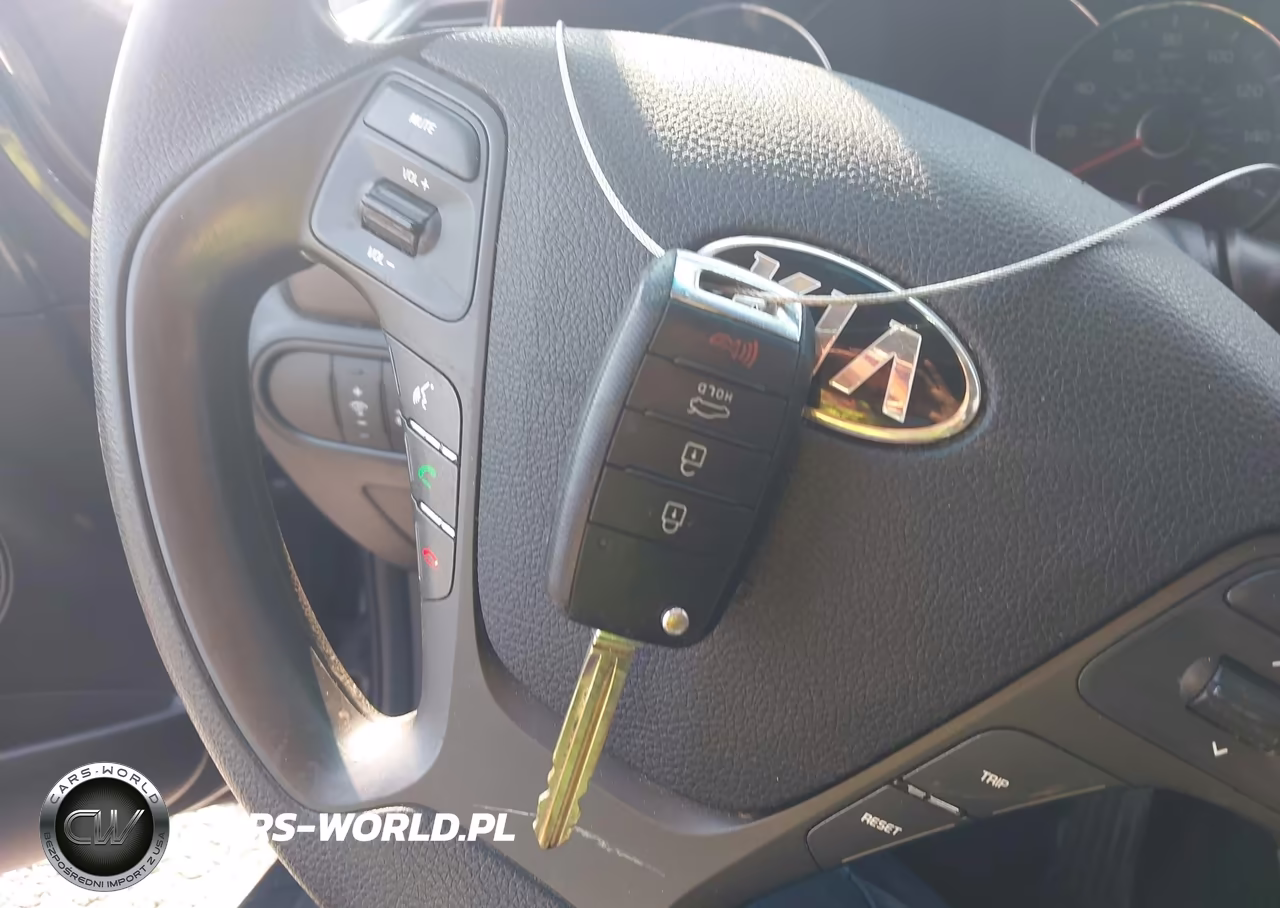 2016 Kia Forte Lx VIN:KNAFK4A62G5610619 - 11