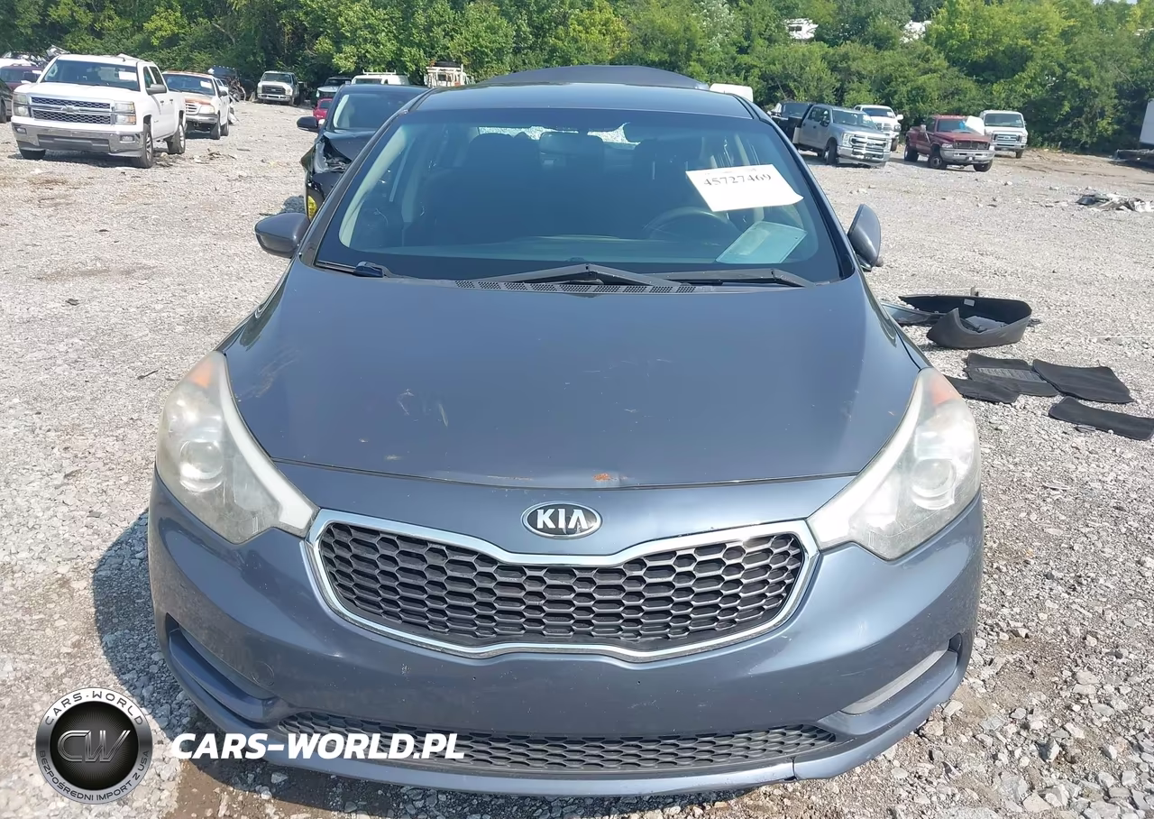 2016 Kia Forte Lx VIN:KNAFK4A62G5610619 - 13