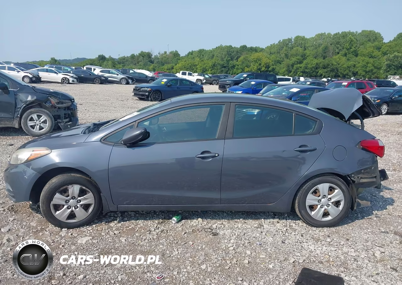 2016 Kia Forte Lx VIN:KNAFK4A62G5610619 - 15