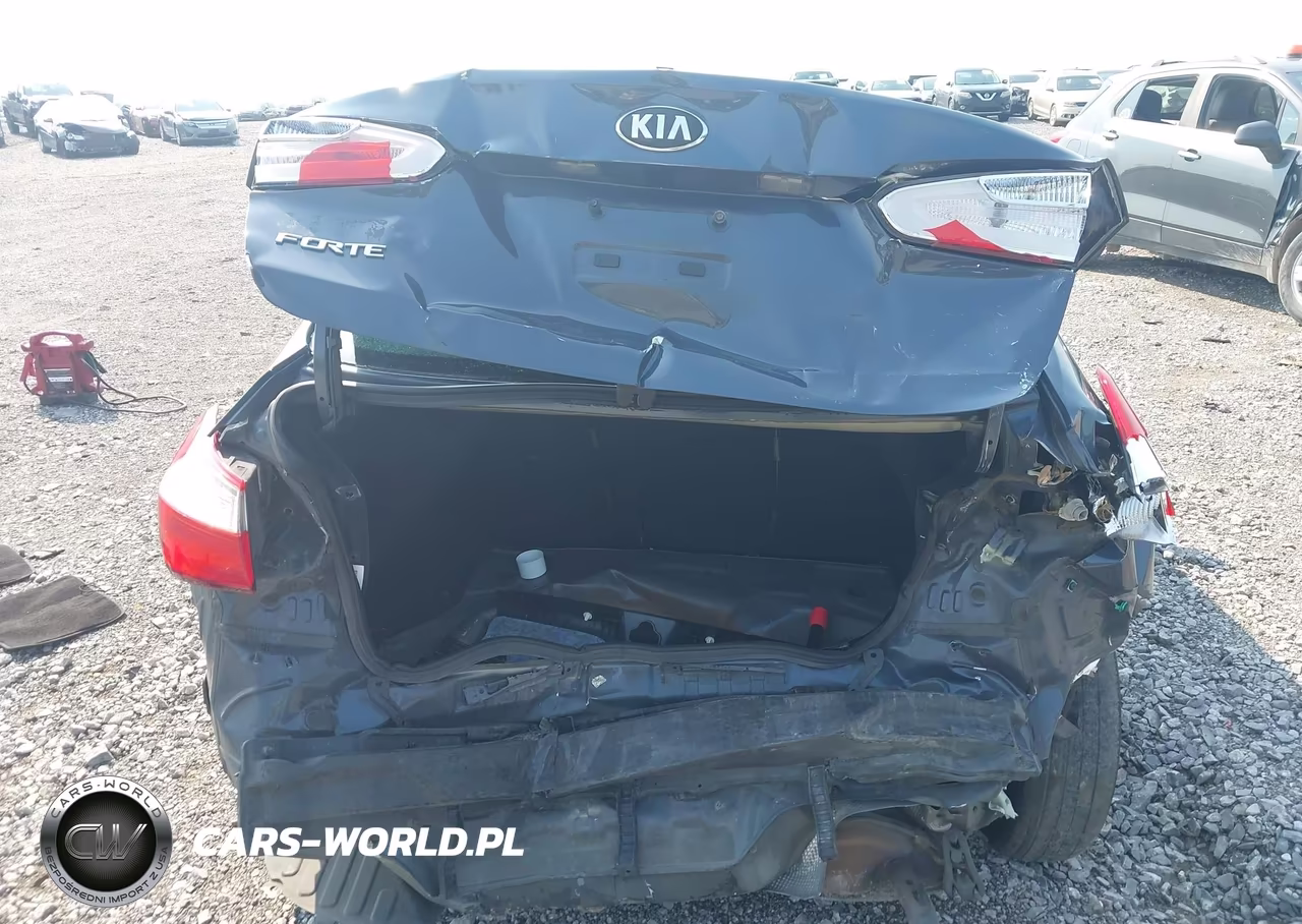 2016 Kia Forte Lx VIN:KNAFK4A62G5610619 - 17