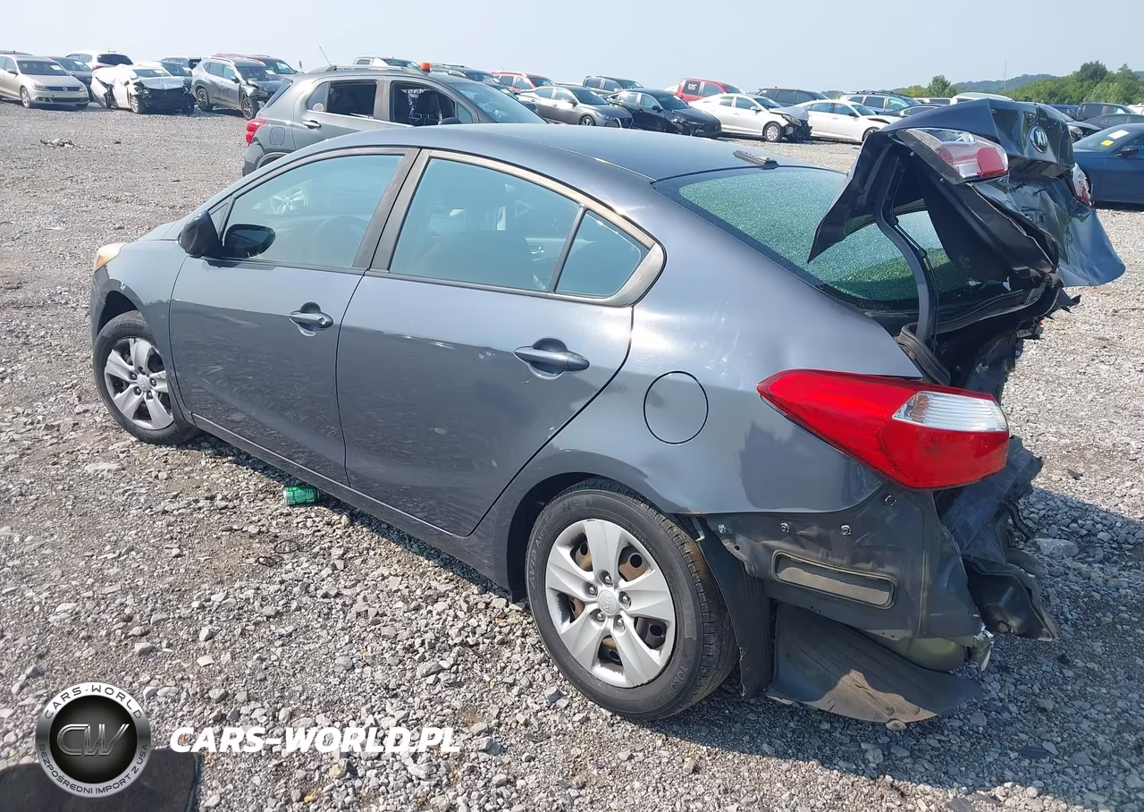 2016 Kia Forte Lx VIN:KNAFK4A62G5610619 - 3