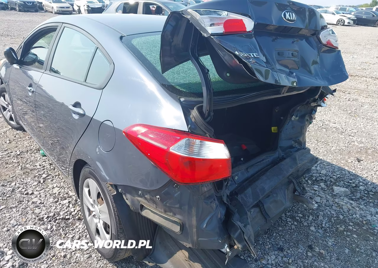 2016 Kia Forte Lx VIN:KNAFK4A62G5610619 - 6