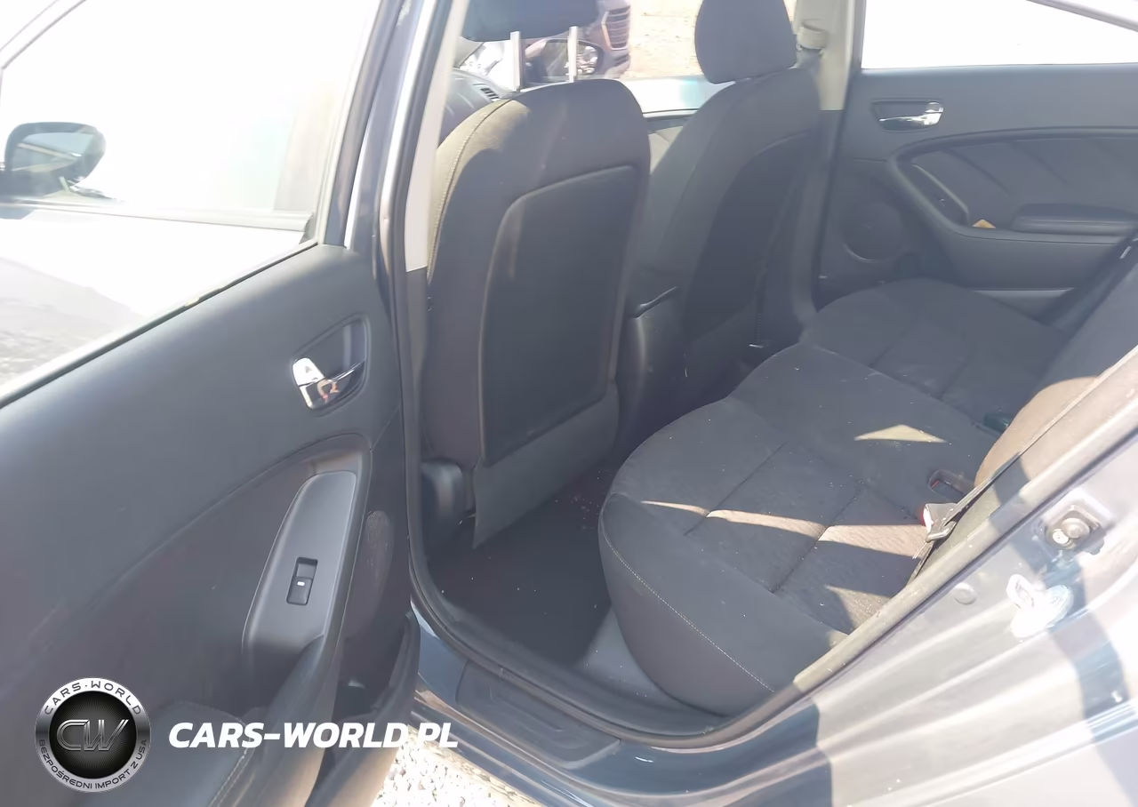 2016 Kia Forte Lx VIN:KNAFK4A62G5610619 - 8