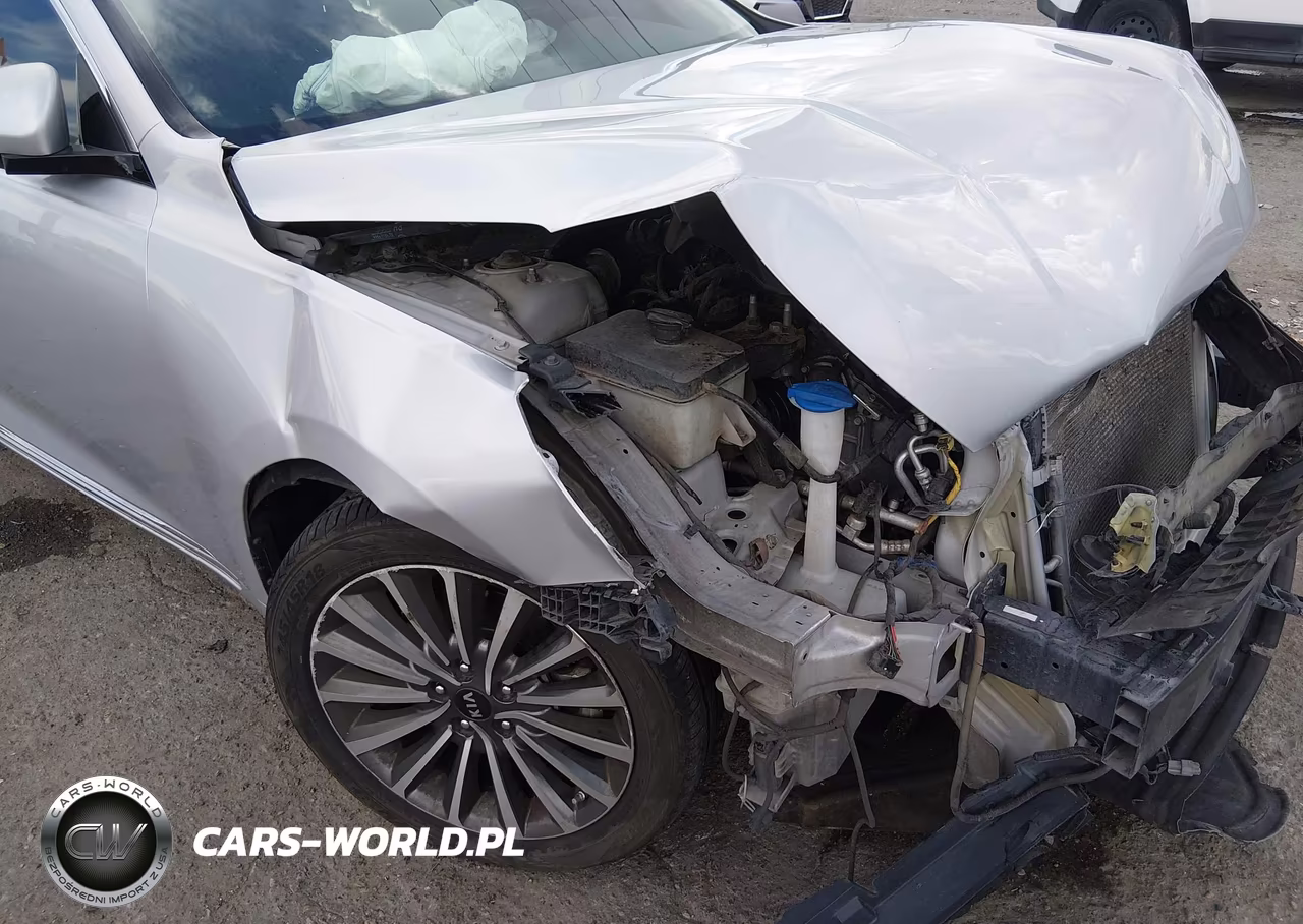2018 Kia Cadenza Premium VIN:KNALC4J12J5105319 - 19