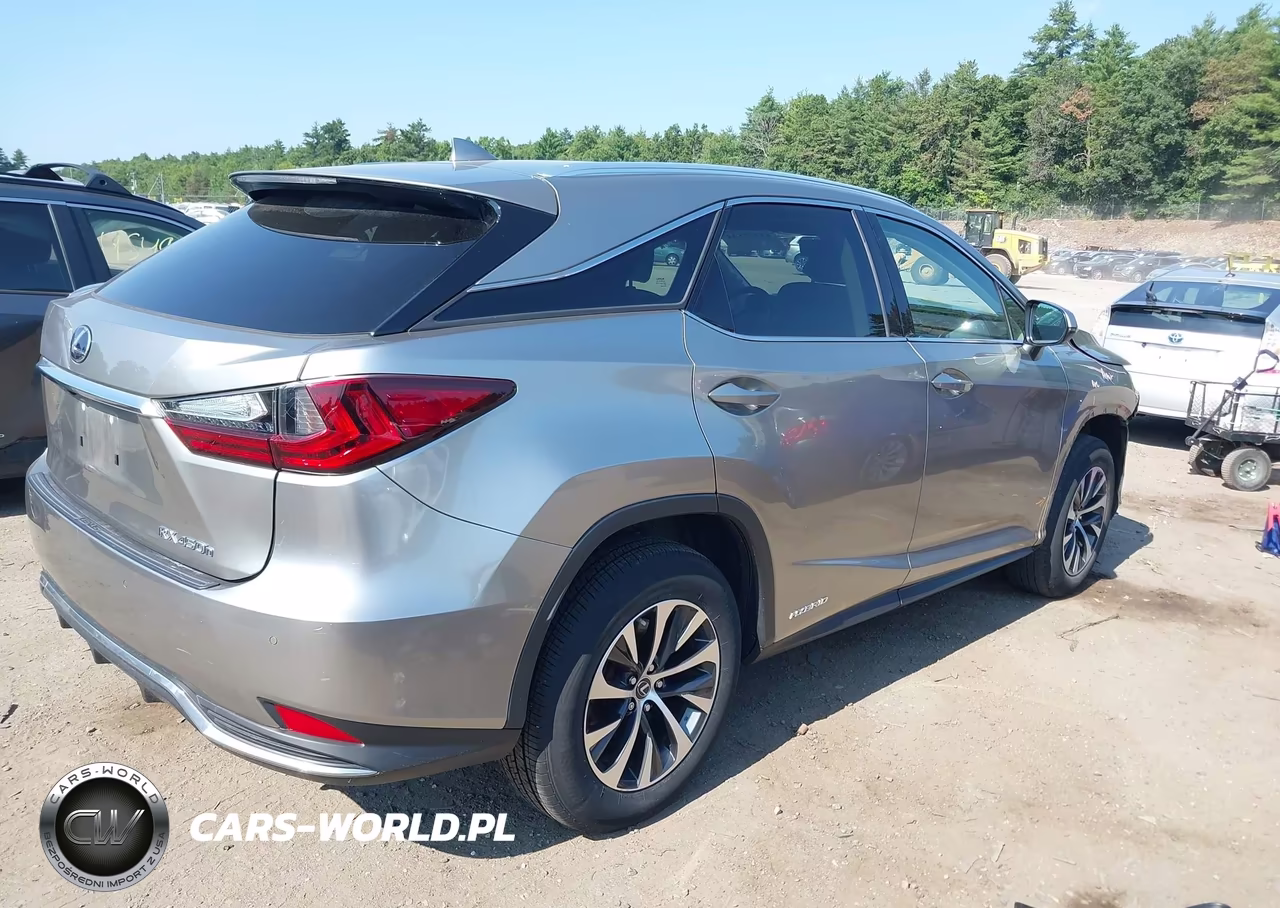 2020 Lexus Rx 450H VIN:2T2HGMDA4LC049524 - 4