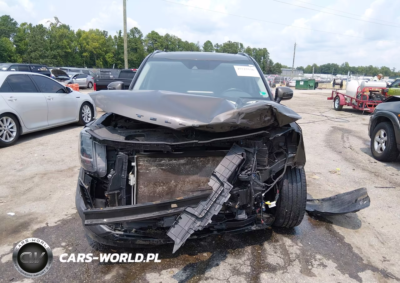 2022 Kia Telluride Ex VIN:5XYP3DHC0NG280273 - 13