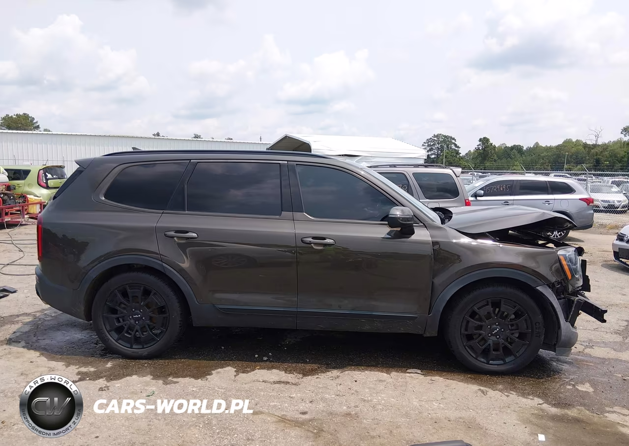 2022 Kia Telluride Ex VIN:5XYP3DHC0NG280273 - 14