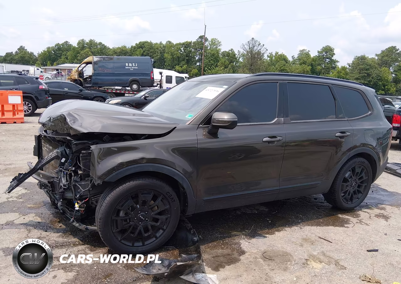 2022 Kia Telluride Ex VIN:5XYP3DHC0NG280273 - 15