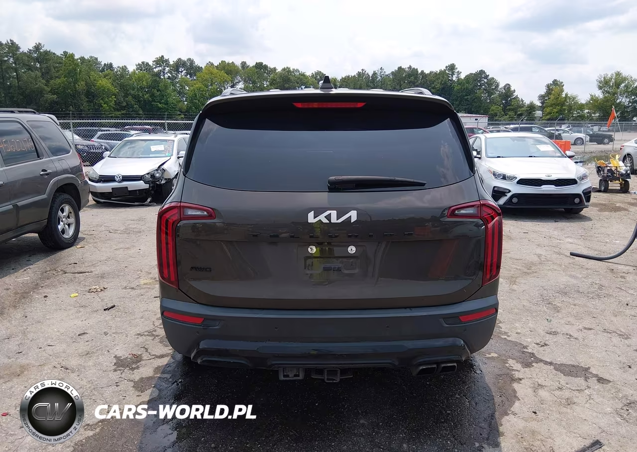 2022 Kia Telluride Ex VIN:5XYP3DHC0NG280273 - 17
