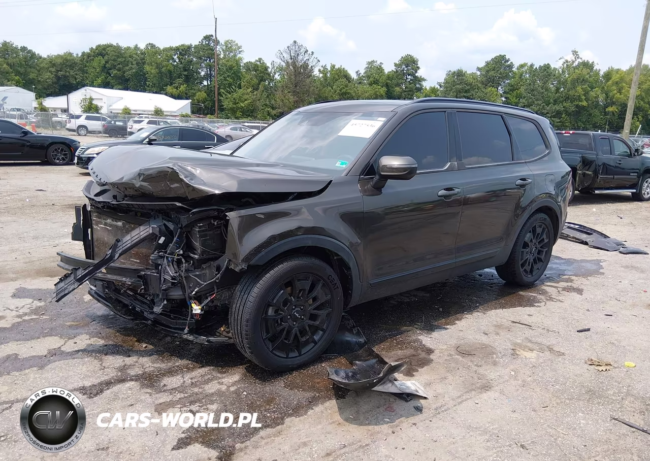 2022 Kia Telluride Ex VIN:5XYP3DHC0NG280273 - 2