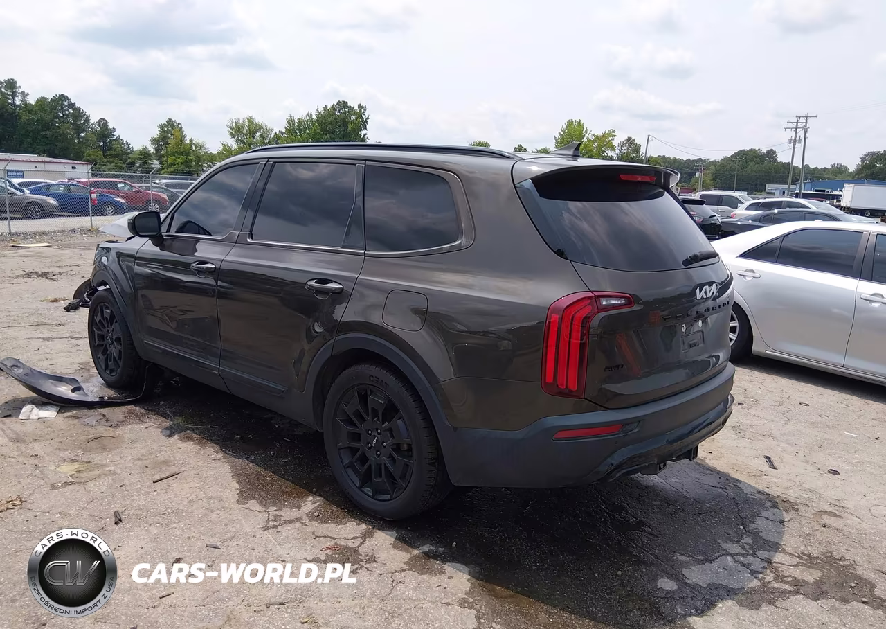 2022 Kia Telluride Ex VIN:5XYP3DHC0NG280273 - 3