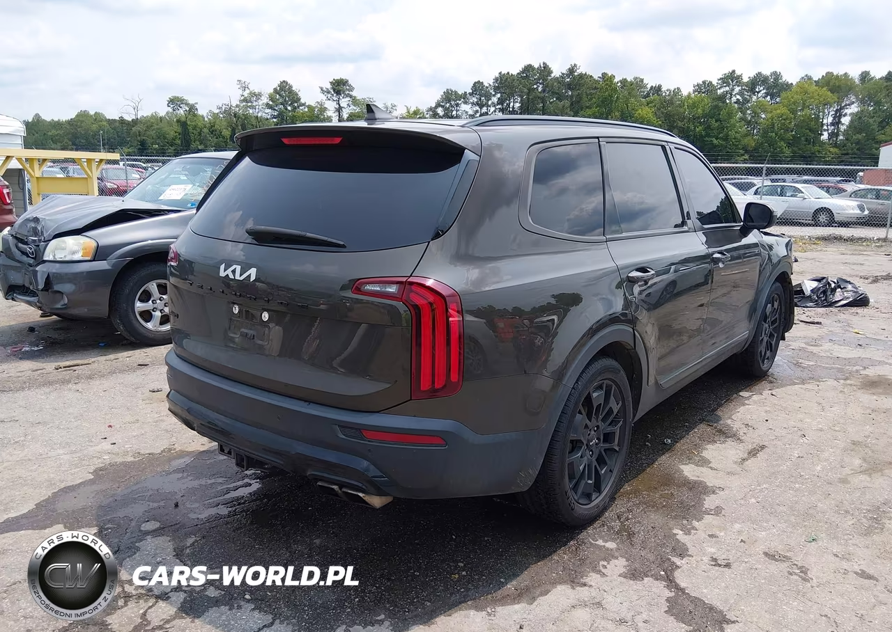 2022 Kia Telluride Ex VIN:5XYP3DHC0NG280273 - 4