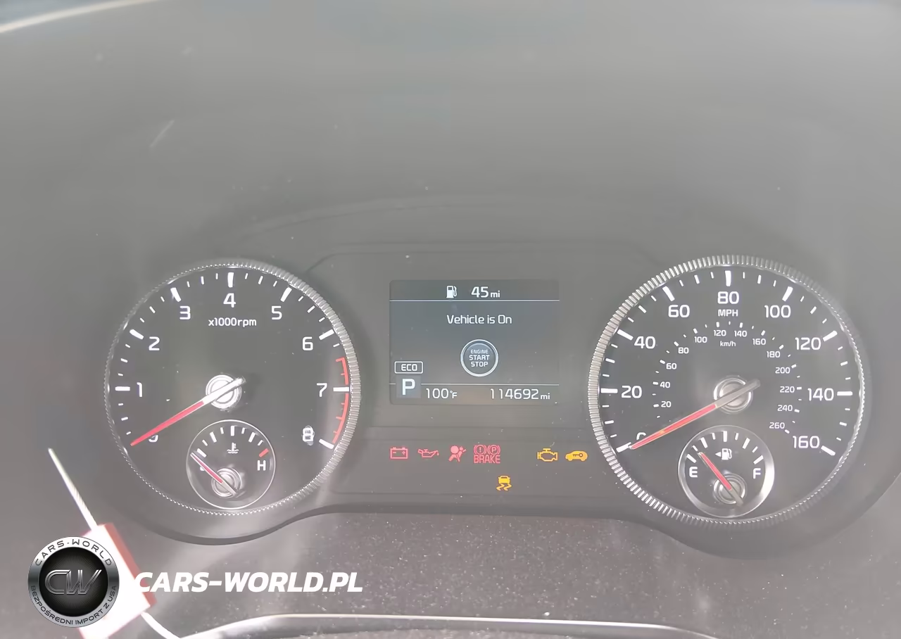 2022 Kia Telluride Ex VIN:5XYP3DHC0NG280273 - 7