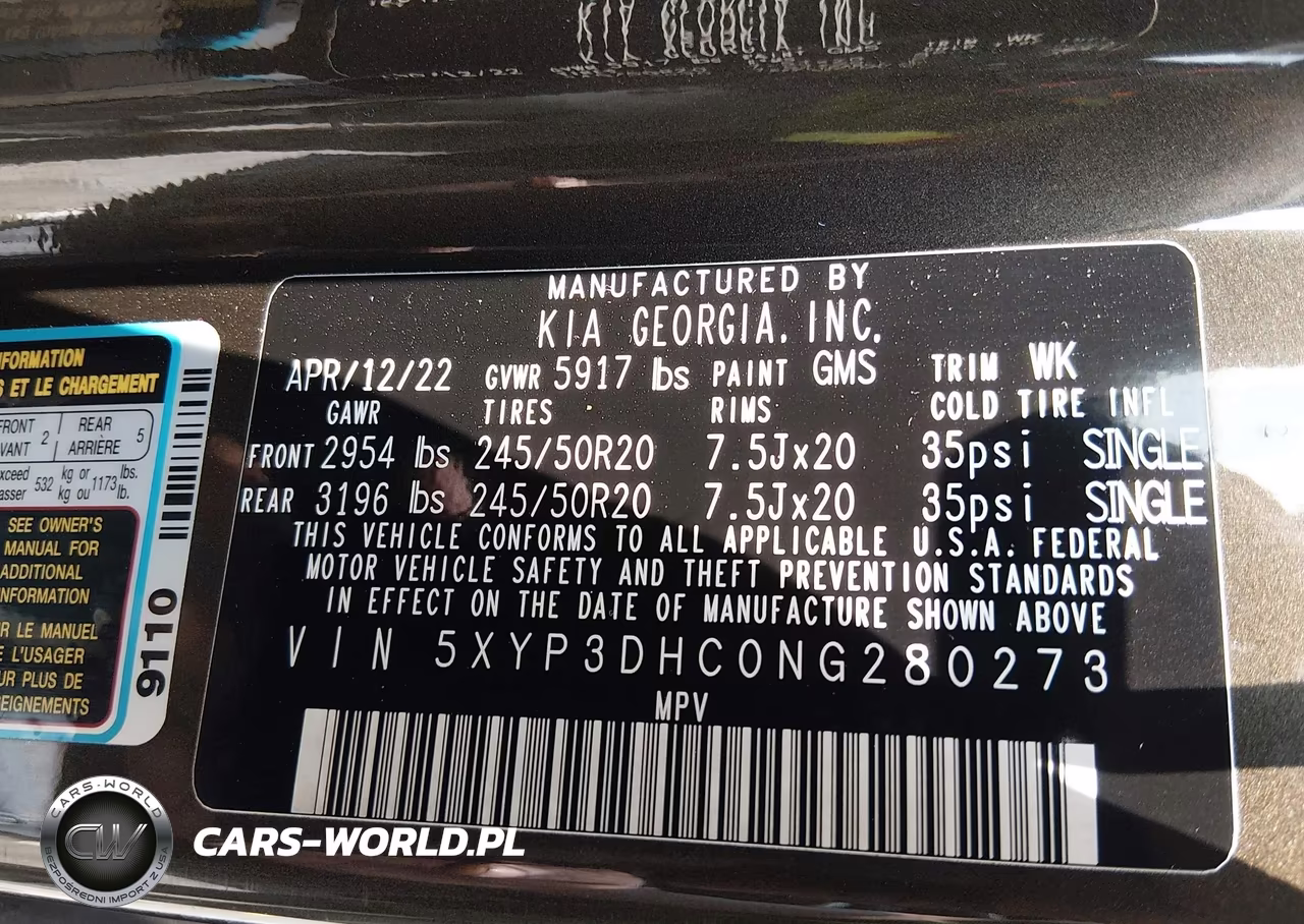 2022 Kia Telluride Ex VIN:5XYP3DHC0NG280273 - 9