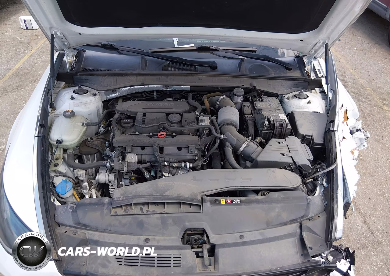 2020 Hyundai Sonata Limited VIN:5NPEH4J2XLH009883 - 10