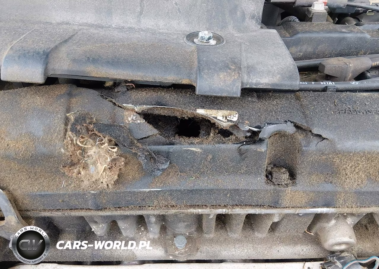 2007 Kia Spectra Ex VIN:KNAFE121375457063 - 13