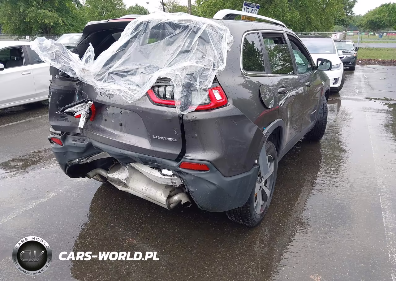 2019 Jeep Cherokee Limited 4X4 VIN:1C4PJMDX6KD118480 - 4