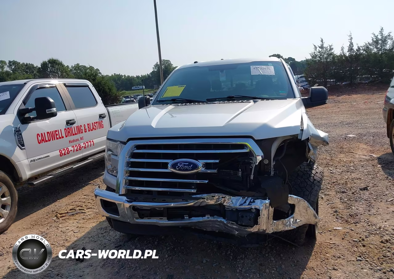 2017 Ford F-150 Xlt VIN:1FTEW1CP6HFC79868 - 12