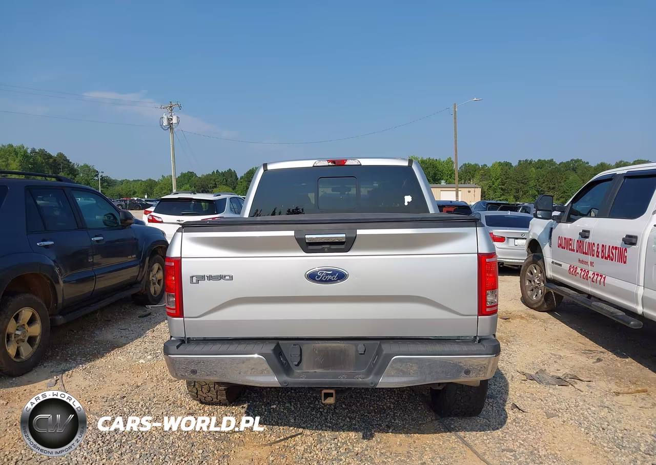 2017 Ford F-150 Xlt VIN:1FTEW1CP6HFC79868 - 16