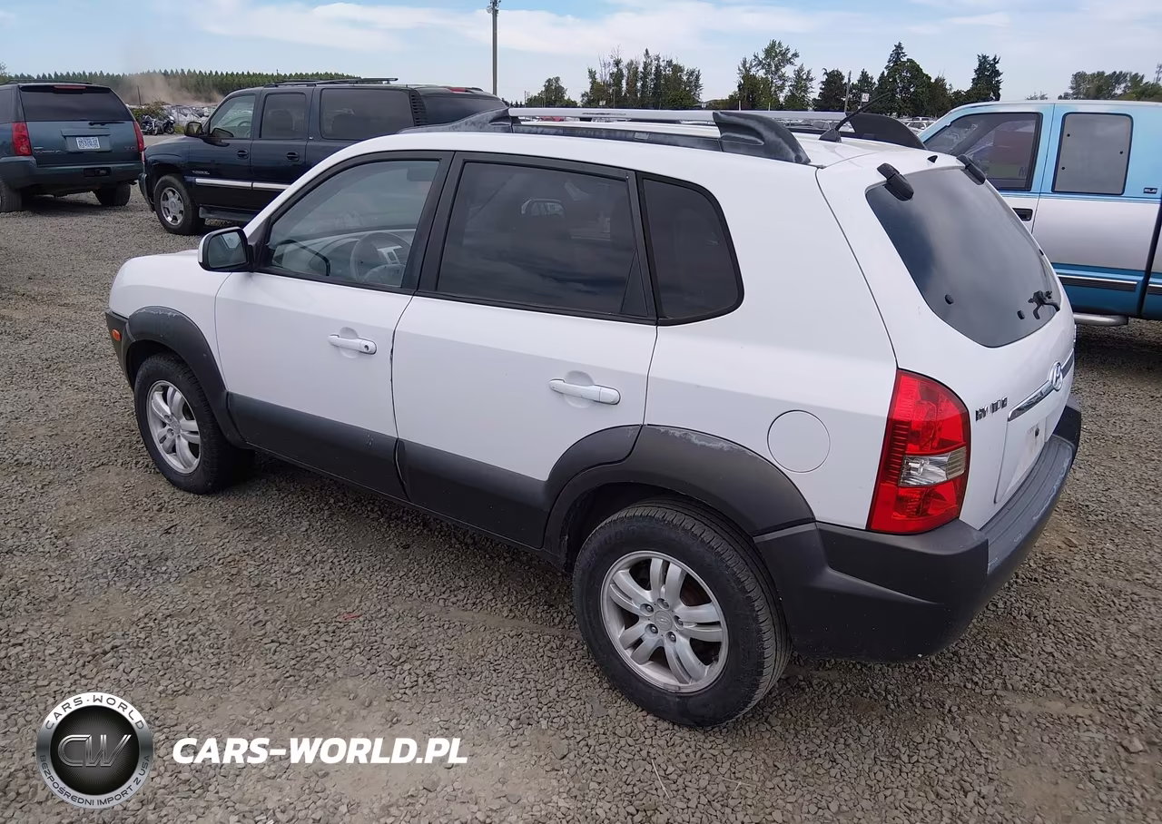 2006 Hyundai Tucson Gls-Limited VIN:KM8JN72D66U320208 - 3