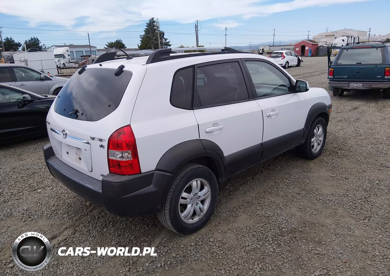 2006 Hyundai Tucson Gls-Limited VIN:KM8JN72D66U320208 - 4