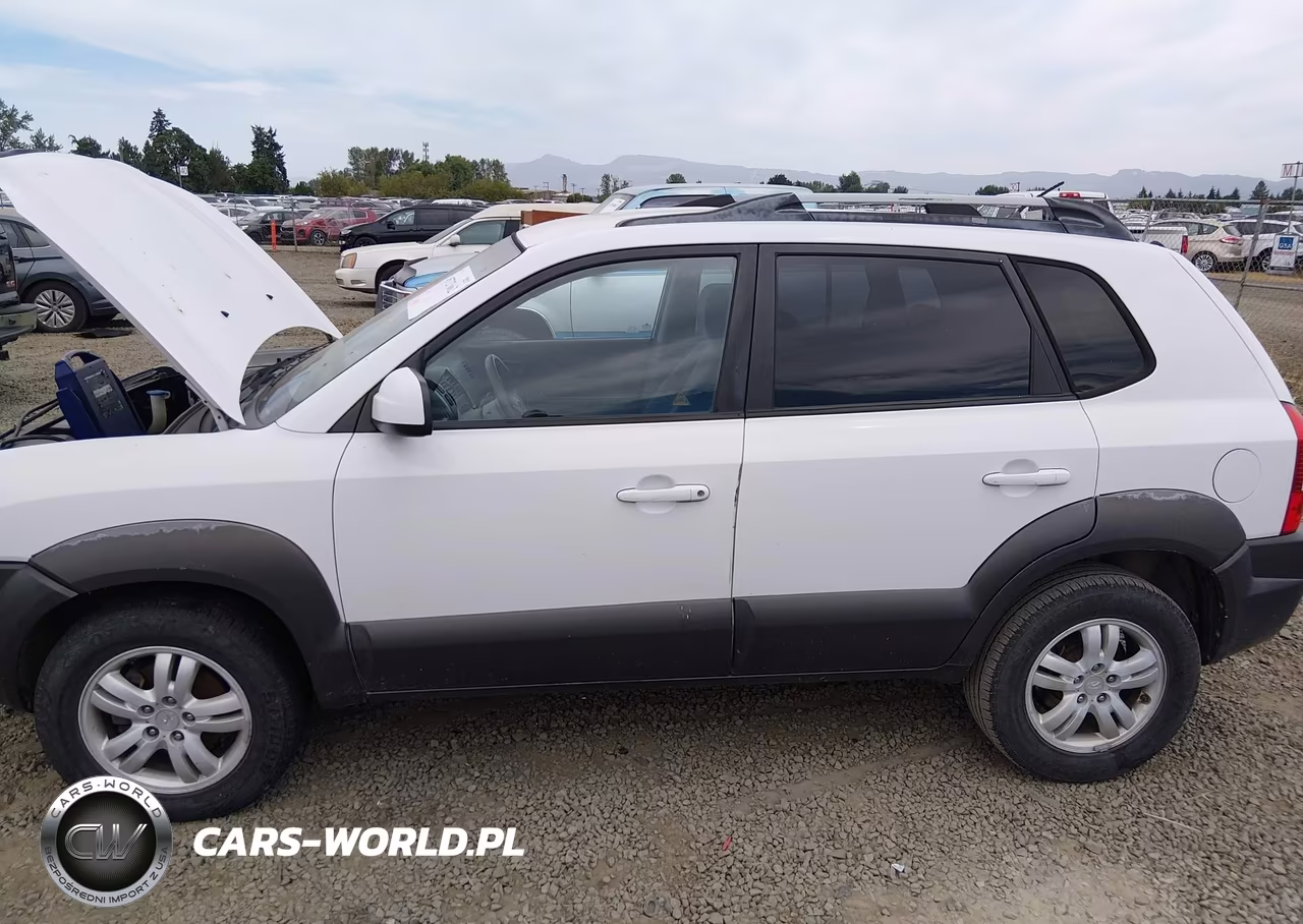 2006 Hyundai Tucson Gls-Limited VIN:KM8JN72D66U320208 - 6