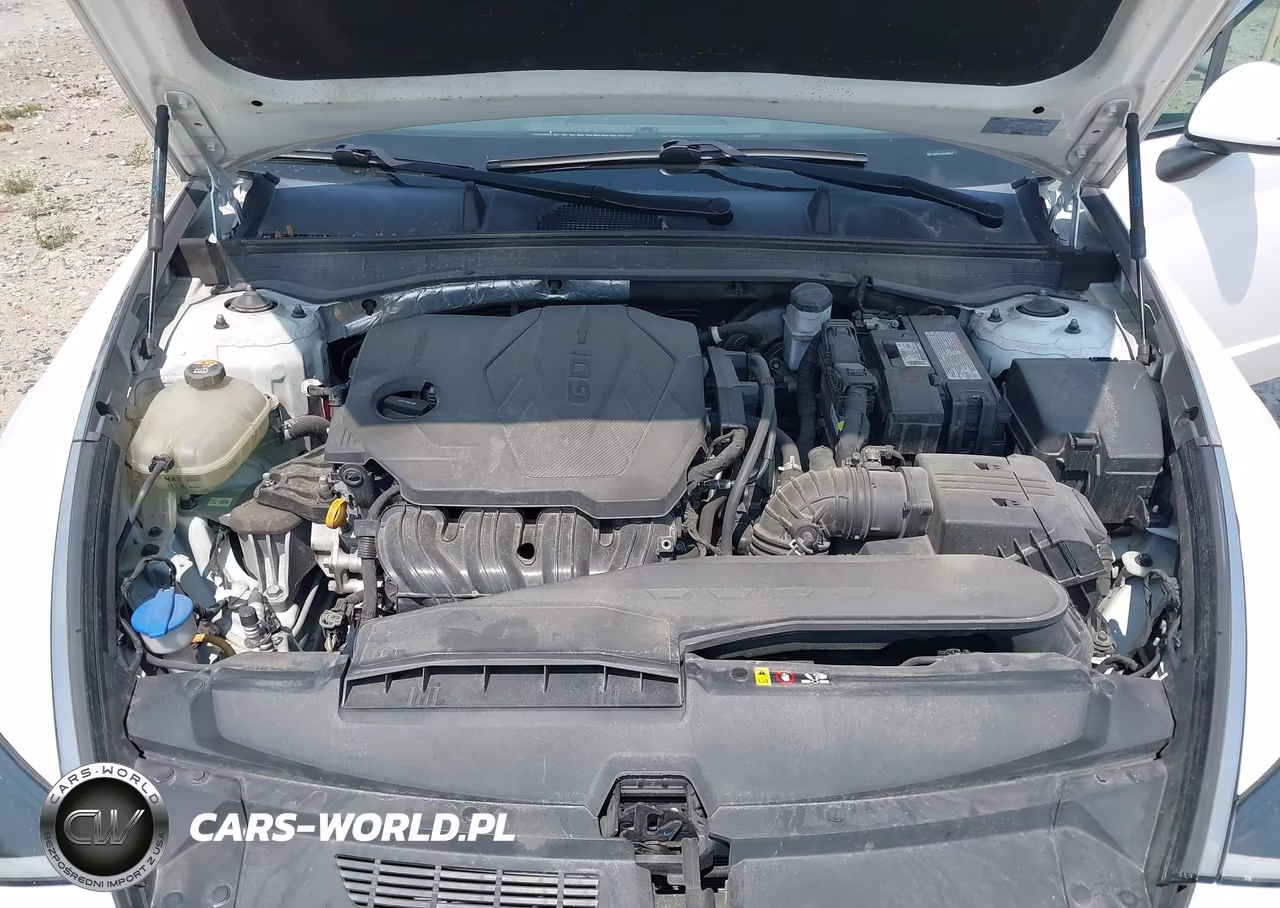 2020 Hyundai Sonata Sel VIN:5NPEL4JA1LH001760 - 10