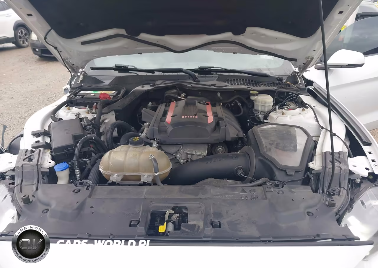 2020 Ford Mustang Ecoboost Premium Fastback VIN:1FA6P8TH8L5139084 - 10
