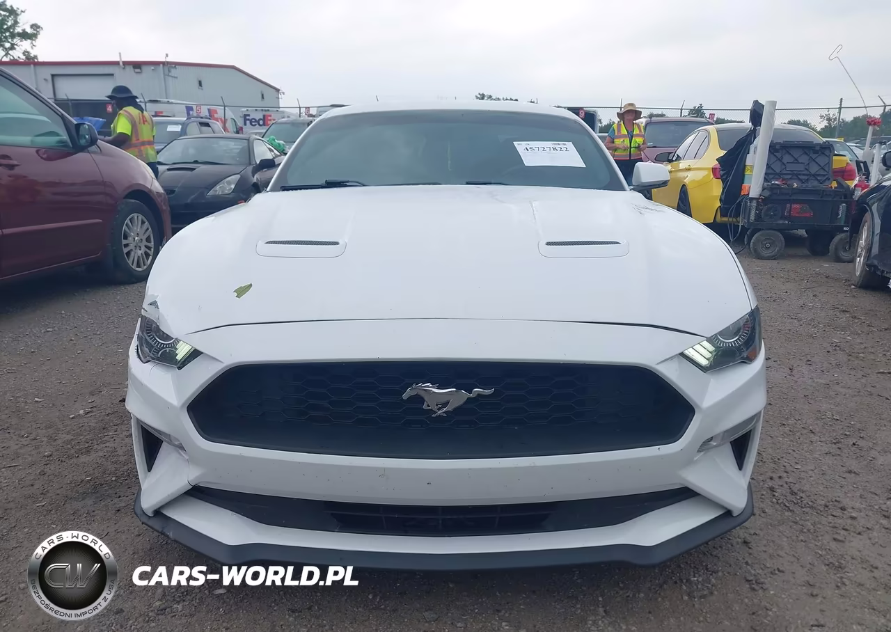2020 Ford Mustang Ecoboost Premium Fastback VIN:1FA6P8TH8L5139084 - 12