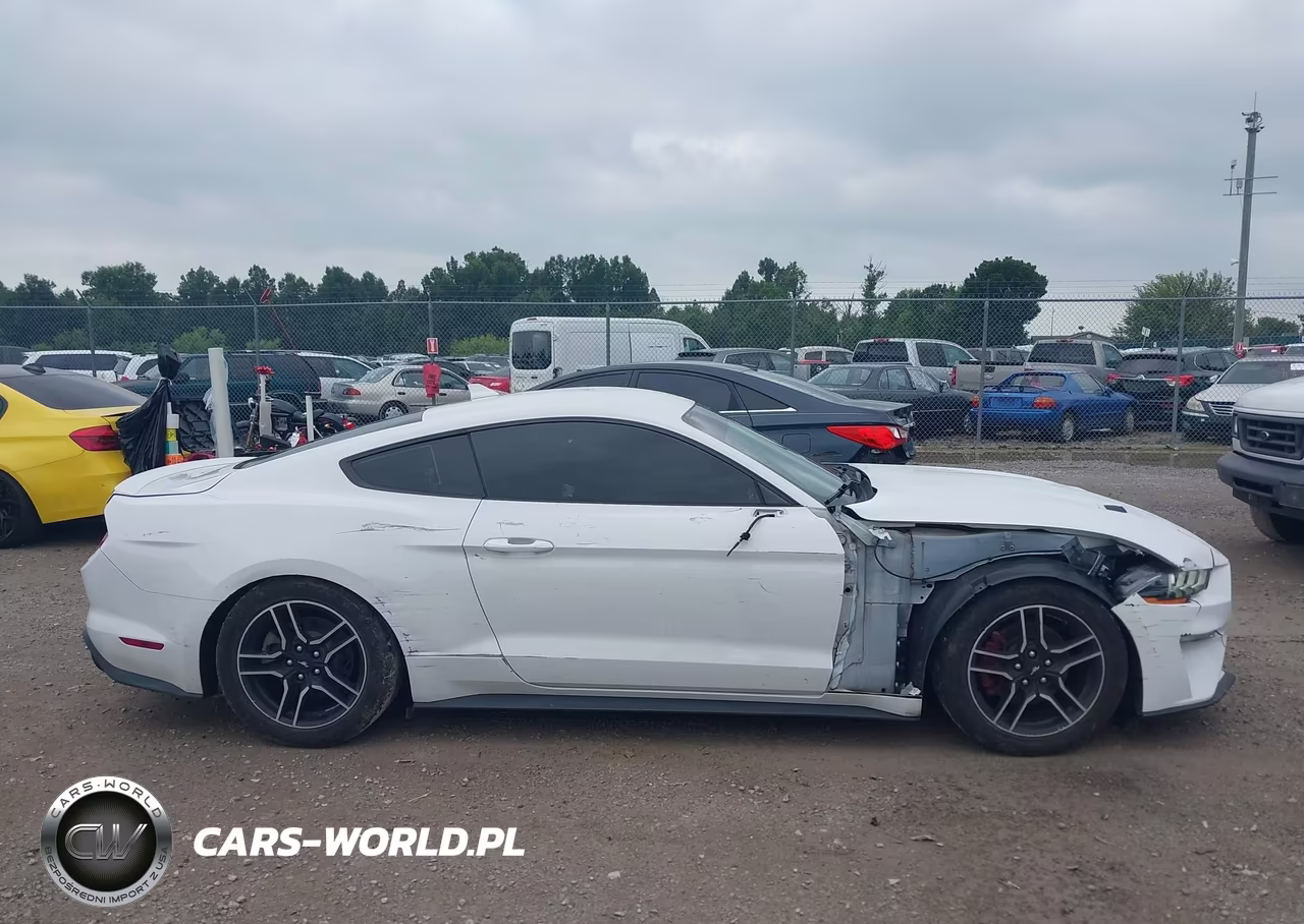 2020 Ford Mustang Ecoboost Premium Fastback VIN:1FA6P8TH8L5139084 - 13